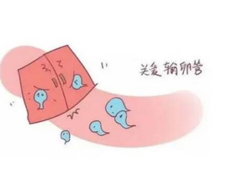 试管移植成功为何会服用醋酸泼尼松药物呢？这种药物的作用到底是什么？