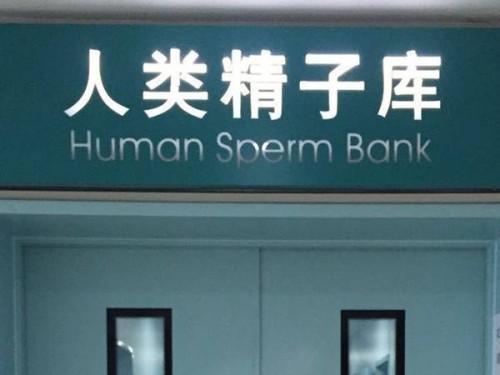 子宫内膜息肉影响怀孕，最好手术后在开始备孕