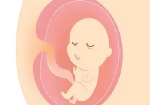 苏州助孕机构：宫外孕怎么处理对身体的伤害最小？这些办法可以先收藏备用