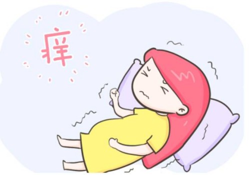 试管婴儿二代和一代的成功率，哪个高一目了然