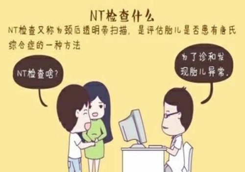 人工授精要怎么做,这几个问题要注意